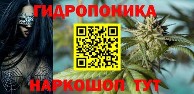 гидра Рязань