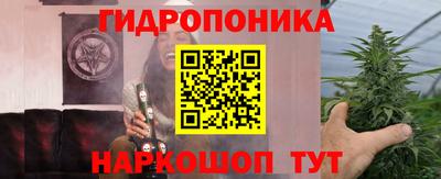гидра Рязань