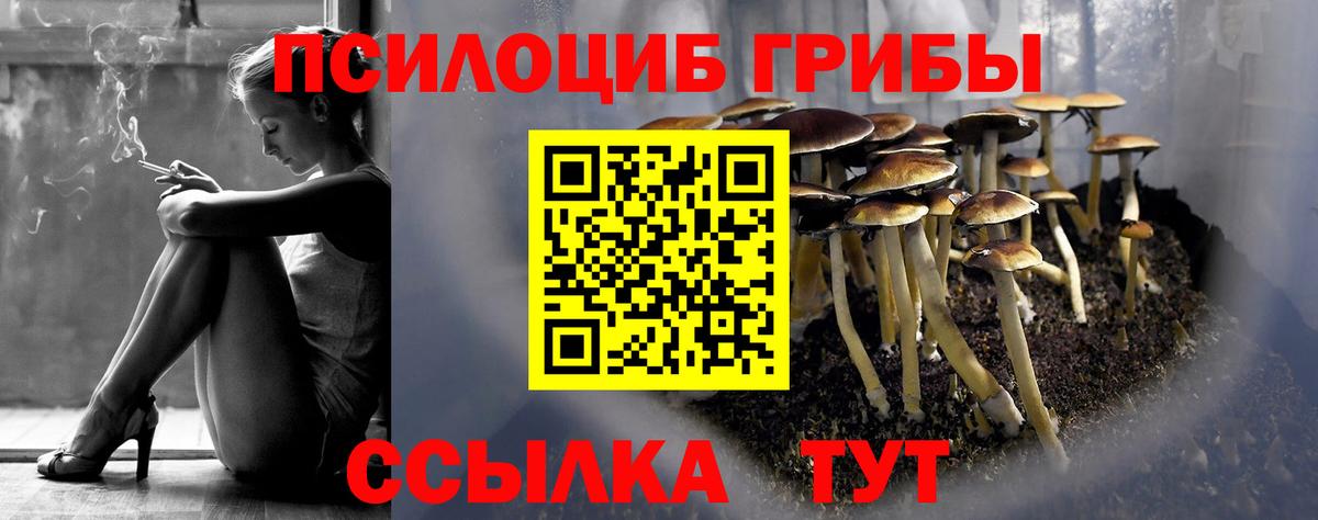 Псилоцибиновые грибы Psilocybine cubensis Строитель